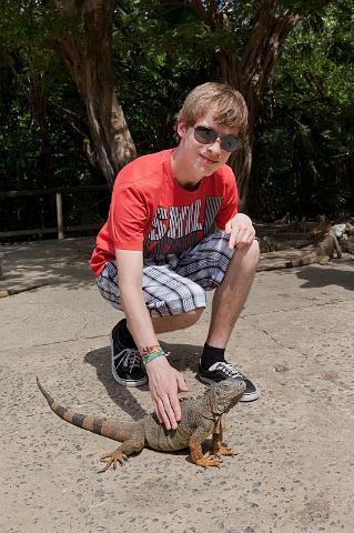 62 Honduras, Roatan, Sherman's Iguanas Refuge.jpg